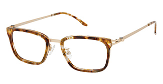 Alexander Collection Halle
