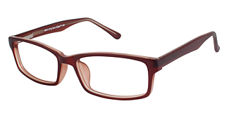 New Globe M431-P