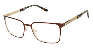 XXL Eyewear Hotspur