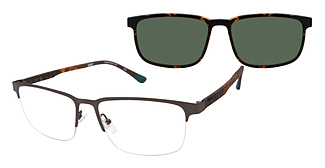 XXL Eyewear Hull