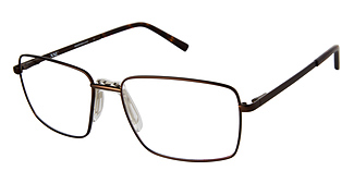 XXL Eyewear Stinger