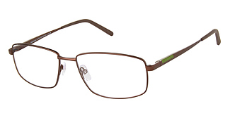 XXL Eyewear Peregrine