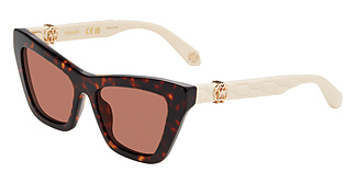 Roberto Cavalli SRC091M