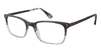 ROBERT GRAHAM DARREN