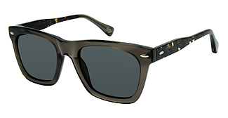 ROBERT GRAHAM CALVIN