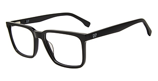 GAP VGP010