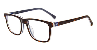 GAP VGP222
