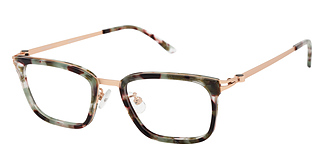  Alexander Collection Halle