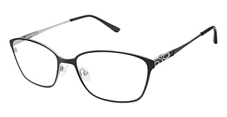  Alexander Collection Sawyer