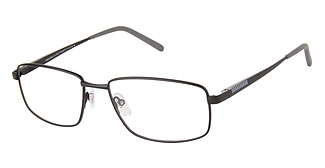 XXL Eyewear Peregrine
