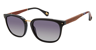 ROBERT GRAHAM HUDSON POLAR