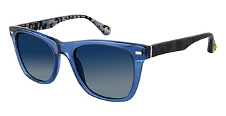 ROBERT GRAHAM JARVIS POLAR