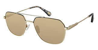  ROBERT GRAHAM THOMPSON POLAR