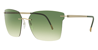 Silhouette 8740